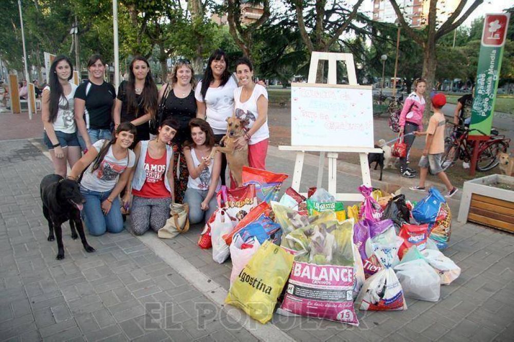 Juntaron 230 kilos de alimentos para perros callejeros