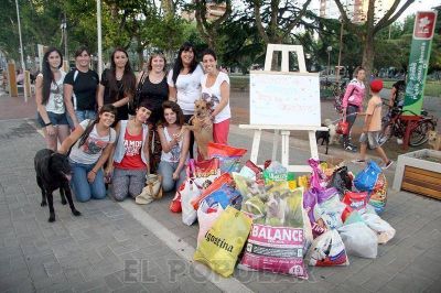 Juntaron 230 kilos de alimentos para perros callejeros