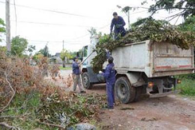 Recolecci�n de ramas en diferentes barrios