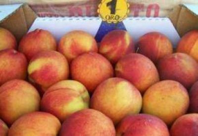 Aseguran que el durazno no deber�a superar los 30 pesos en las verduler�as