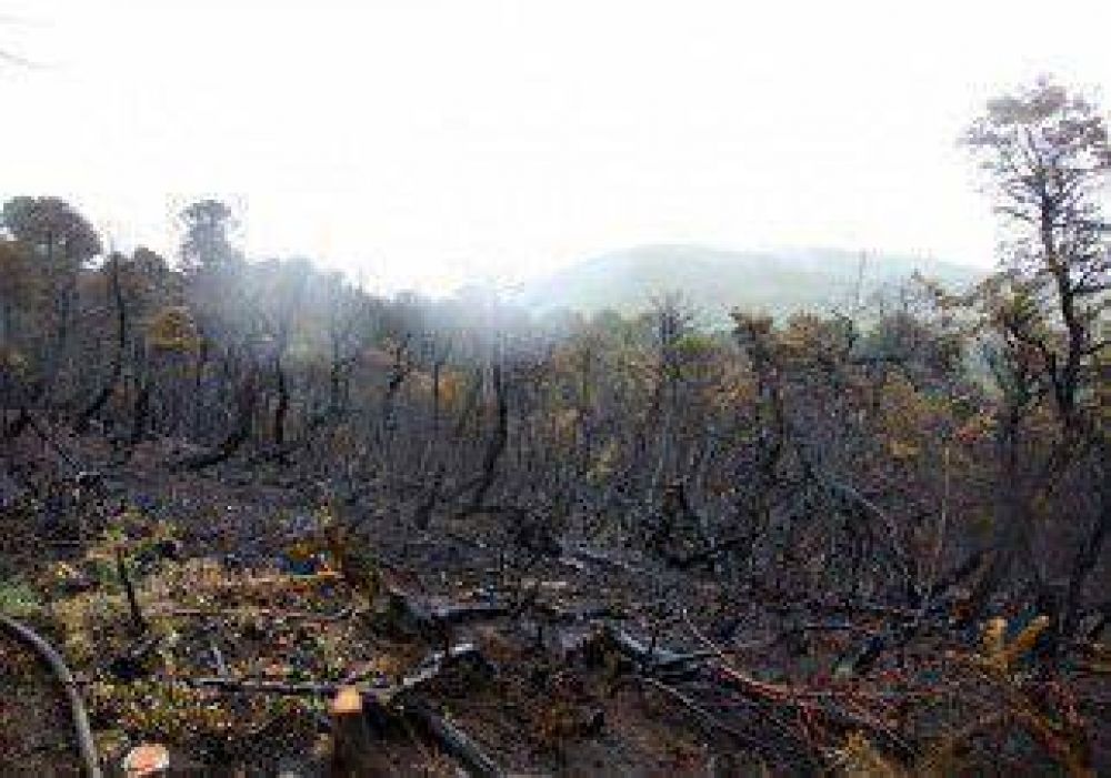Incendios arrasaron 3.500 h�ctareas, y se asiste a 600 familias 