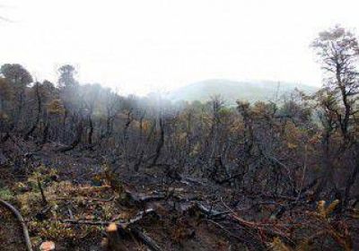 Incendios arrasaron 3.500 h�ctareas, y se asiste a 600 familias 