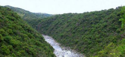 Carlos Paz: Atreides asumir� en Educaci�n Ambiental