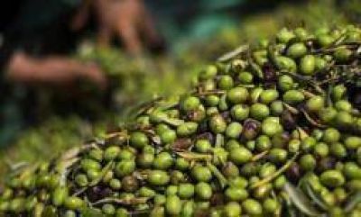 La devaluaci�n del peso lleg� tarde para el agro riojano