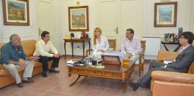 Alrededor de 12 millones de pesos se invertir�n en los paneles solares de Chepes