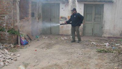 Campa�a de fumigaci�n contra los mosquitos
