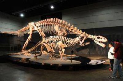 Concurso por el isologo del Museo de los Dinosaurios