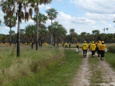 Abigeos provocaron incendio en parque nacional Pilcomayo