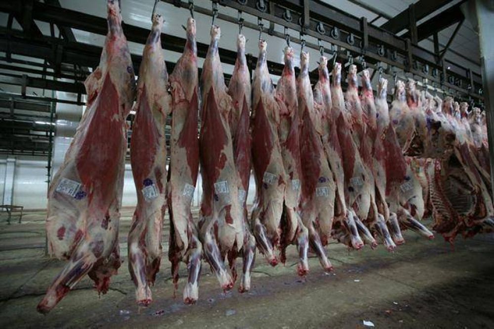 La carne sigue subiendo, pero el Gobierno lo niega: "Seis cortes no pueden aumentar"