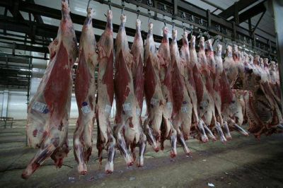 La carne sigue subiendo, pero el Gobierno lo niega: "Seis cortes no pueden aumentar"