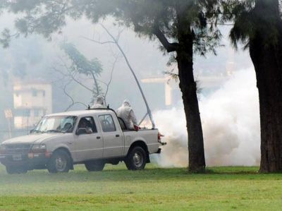 Confirmaron el primer caso de dengue "importado" en lo que va del a�o en la ciudad