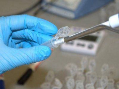 Detectaron solo en la zona norte 207 casas con larvas del dengue