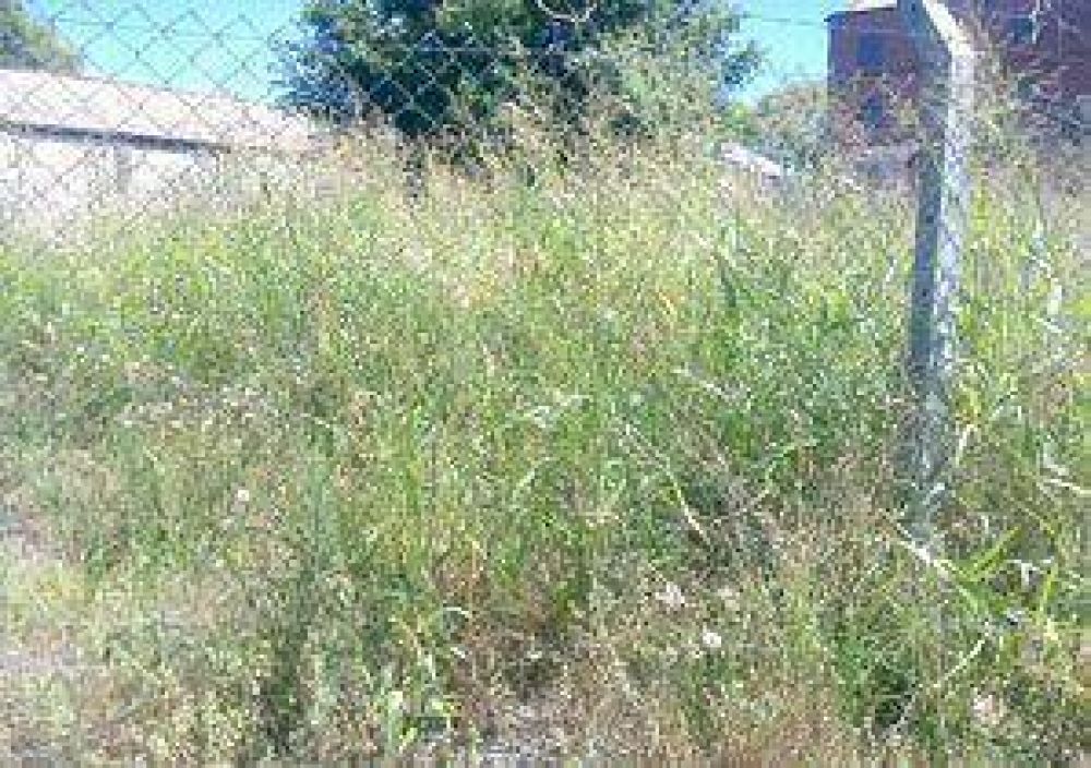 Los vecinos siguen reclamando la limpieza del exHogar Obrero