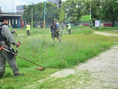 Contin�an los trabajos de limpieza en Don Bosco