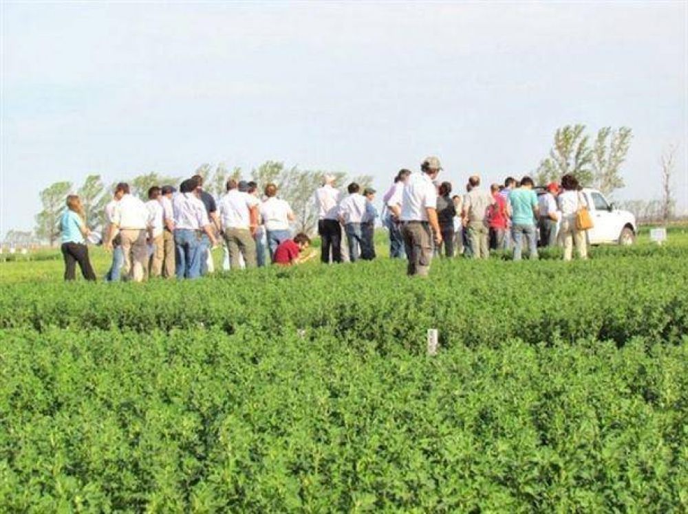 Se acerca la �poca de implantaci�n de pasturas