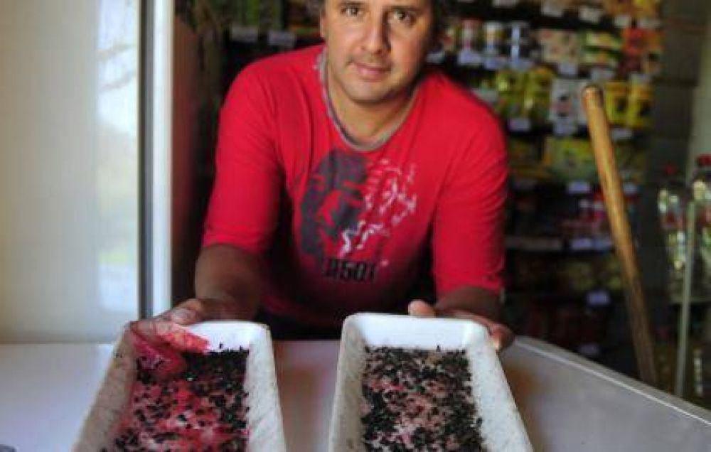 R�o Ceballos: con las alitas arribas
