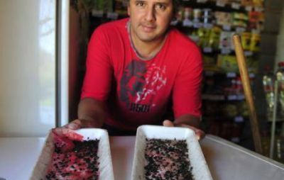 R�o Ceballos: con las alitas arribas