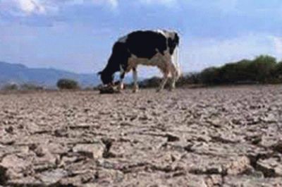 APROCCHA advierte la grave situaci�n de los peque�os y medianos productores