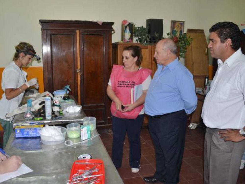 Comenz� la campa�a de castraci�n masiva en barrios 