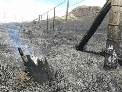Tornquist: un nuevo incendio afecta la zona serrana