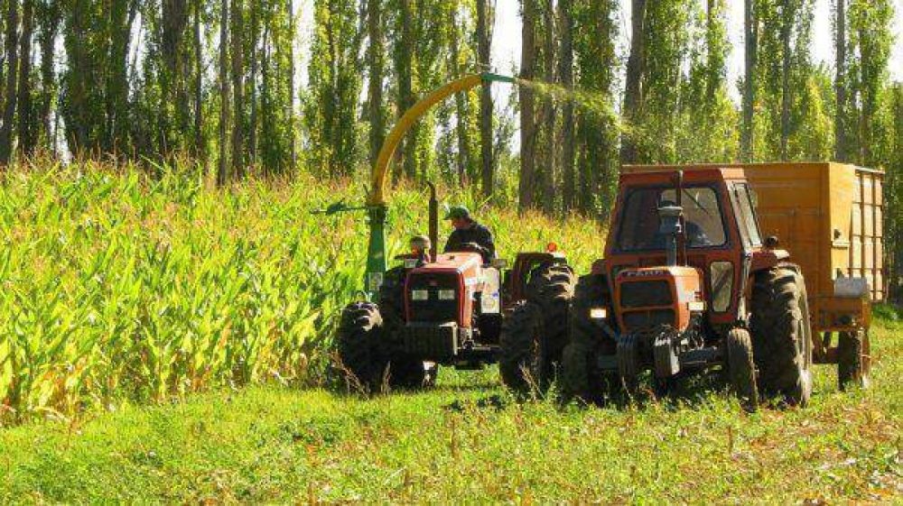Cerealeros rechazan recrear la Junta Nacional de Granos