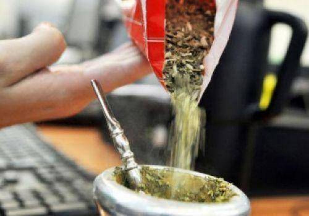 Yerba: ventas al mercado interno fueron r�cord, pero baj� la producci�n