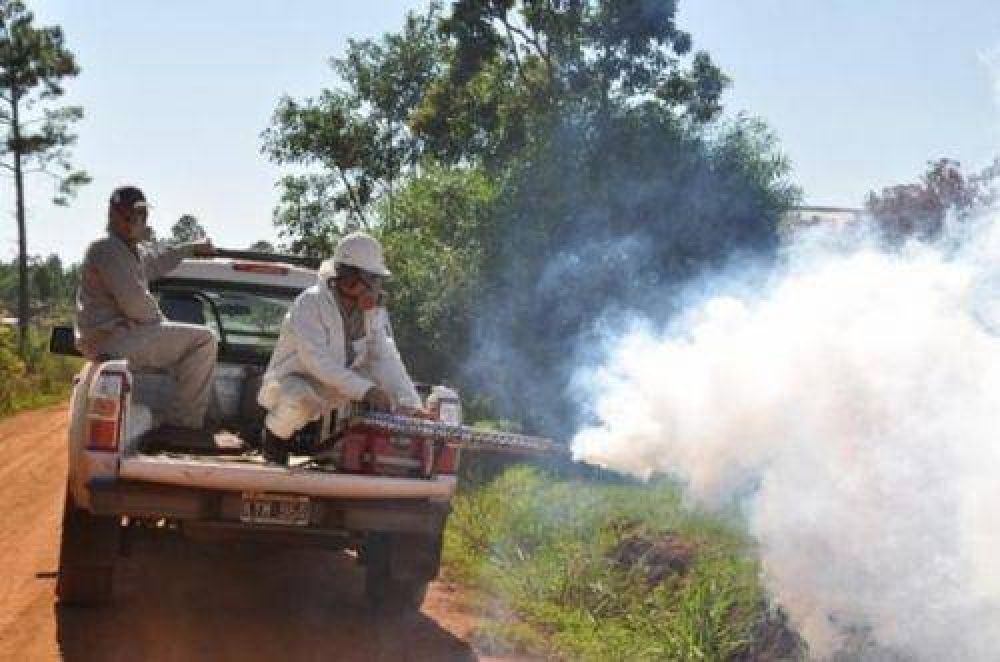 Dengue: intensifican acciones de control de foco larvario y mosquitos adultos en el interior