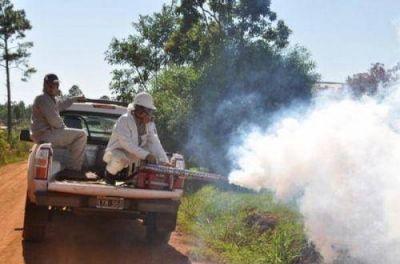 Dengue: intensifican acciones de control de foco larvario y mosquitos adultos en el interior