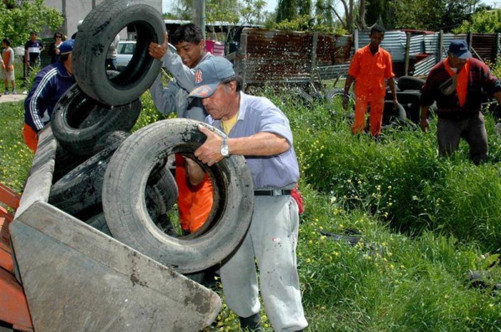 Invasi�n de mosquitos: aconsejan intensificar medidas contra el dengue