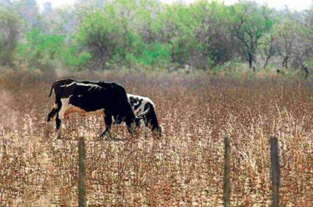 Alertan sobre la grave situaci�n de peque�os y medianos productores