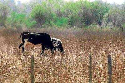 Alertan sobre la grave situaci�n de peque�os y medianos productores