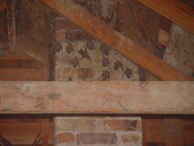 Comenzaron los trabajos de desinfecci�n del ex Club Social