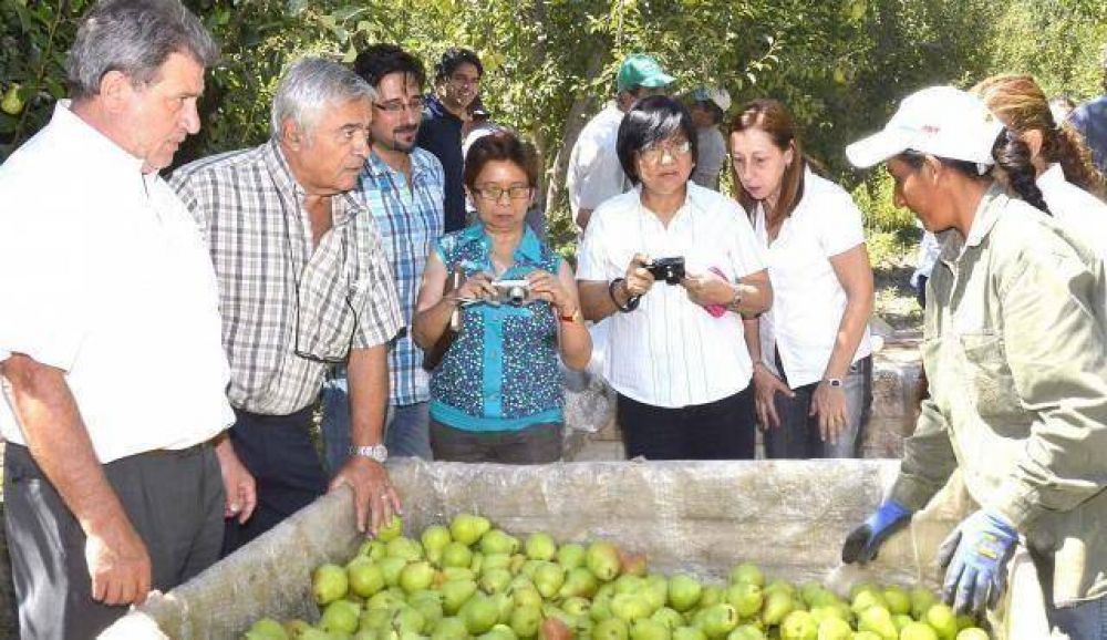 T�cnicos de Filipinas verifican la condici�n fitosanitaria de Mendoza