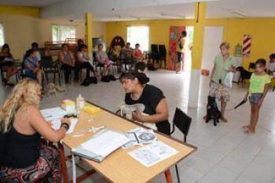 Se castraron m�s de 300 perros y gatos durante el mes de enero