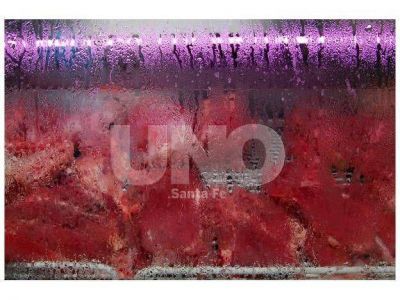 En dos semanas, la carne subi� entre 15 y 20 por ciento