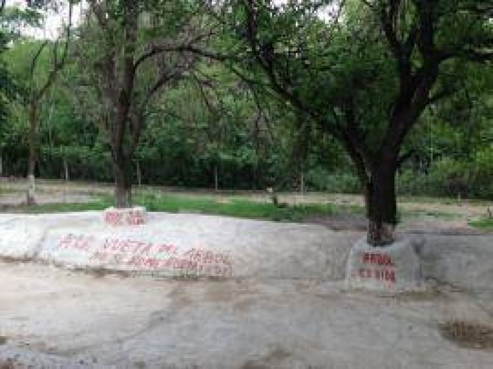 Desarrollo Social cement� �rboles