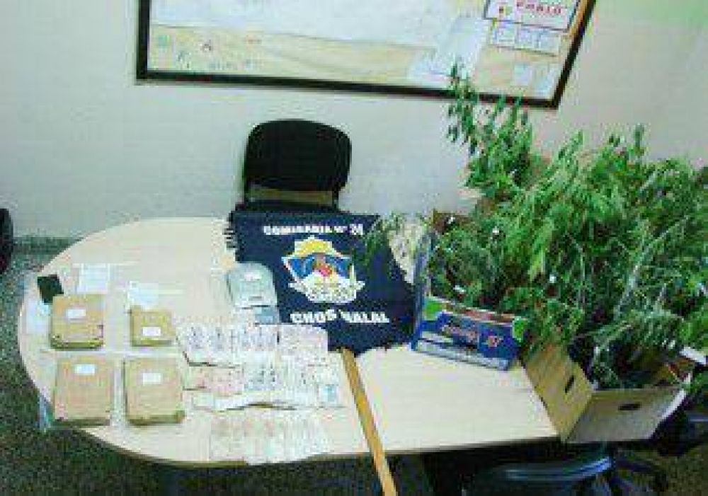 Fueron por un incendio y hallaron m�s de 20 plantas de marihuana 