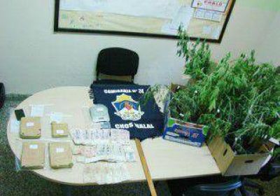 Fueron por un incendio y hallaron m�s de 20 plantas de marihuana 