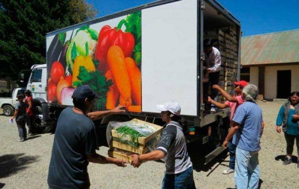 Venden frutas y verduras a precios populares