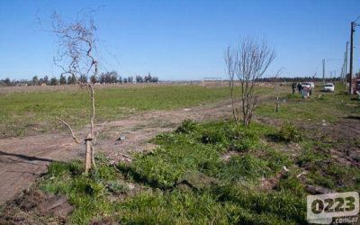 �De d�nde salen los $5 millones que el Municipio usar� para comprar terrenos?