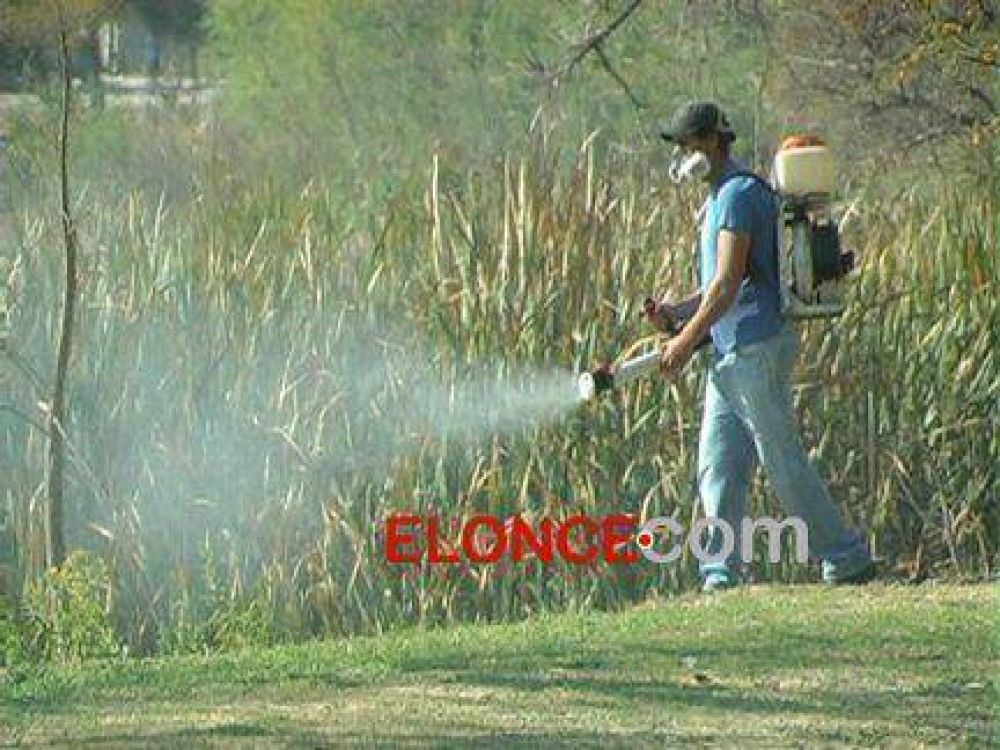 Retomar�n las fumigaciones contra los mosquitos cuando cesen las lluvias en Paran� 