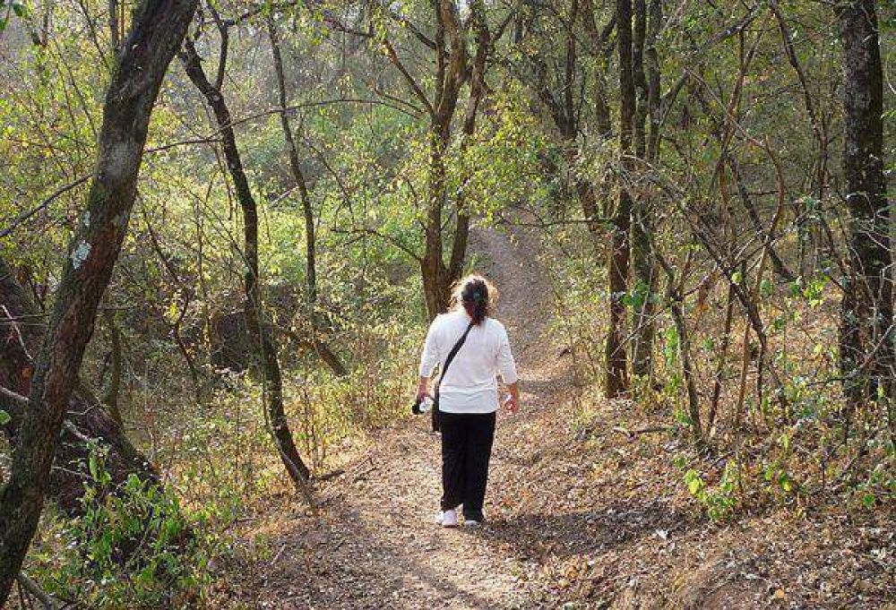 Parque Bot�nico: difunden la importancia del �rea protegida de nuestra ciudad