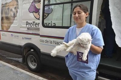NUEVOS OPERATIVOS DE CASTRACI�N Y VACUNACI�N EN DIFERENTES BARRIOS DEL DISTRITO