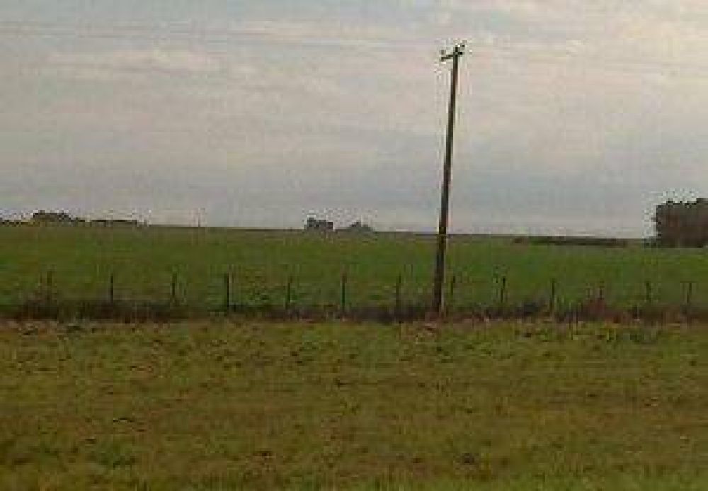 Anuncian desastre agropecuario para Dorrego