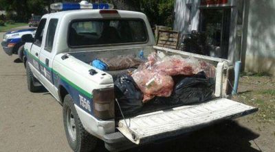 Pehuen C�: decomisan m�s de 1.500 kilos de carne