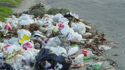 Buscan sancionar a los que arrojen basura