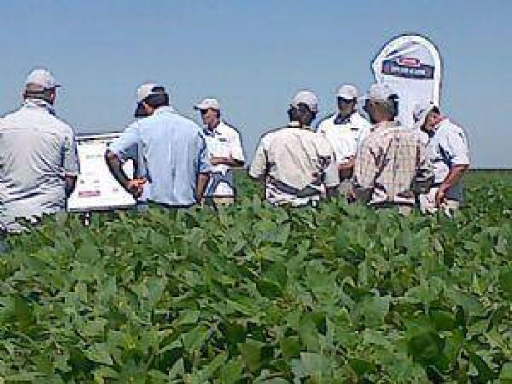 Desafiando los l�mites del cultivo de soja