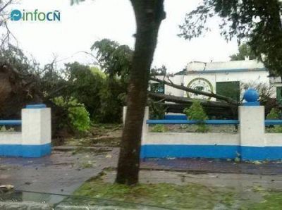 La tormenta provoc� da�os, heridos y evacuados