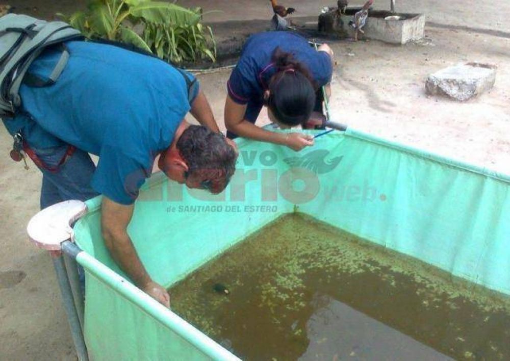  Retoman acciones para prevenci�n del dengue