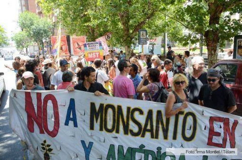 Rechazan el estudio de impacto ambiental presentado por Monsanto en Crdoba